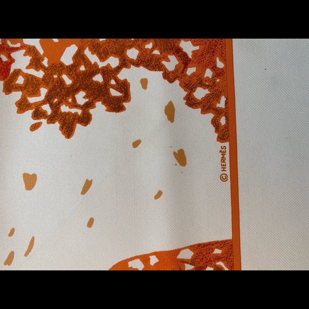 Hermès Scarf - Picture 9 of 15
